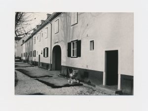 ST-GD-HF-001.jpg
